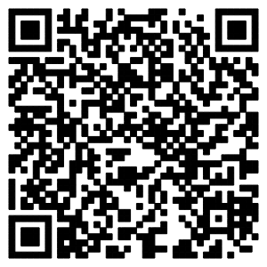 公告识别码.png